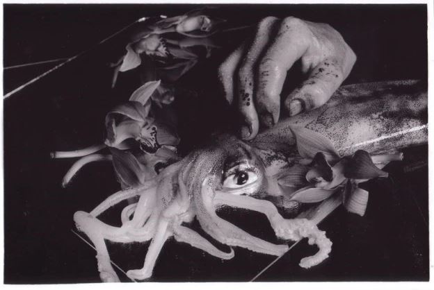exploring photographic art in tokyo  blog pic